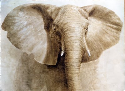 Elefant, 2004 von Lincoln Seligman